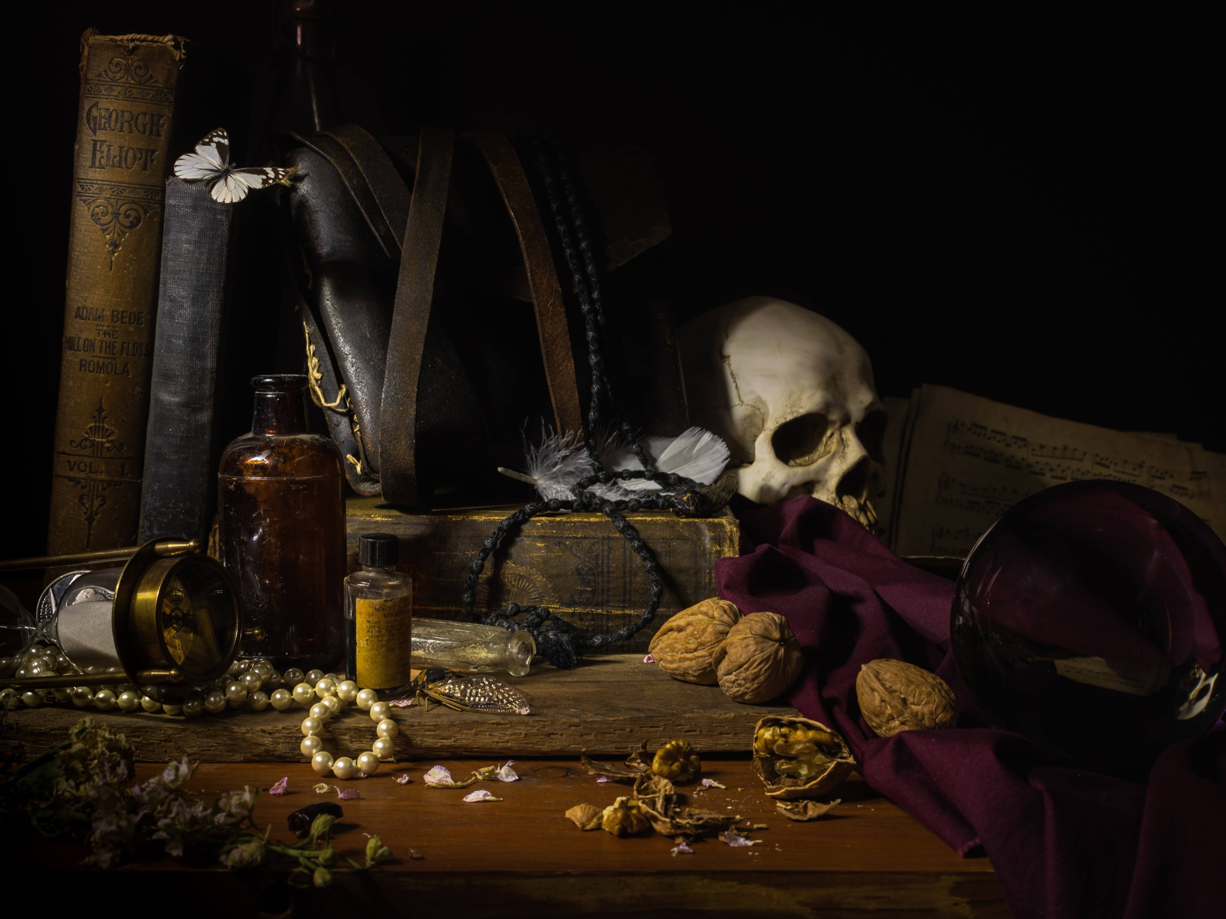 Still Life w/ Books, Walnuts, and Insects — archival pigment print, Adam Gedney
