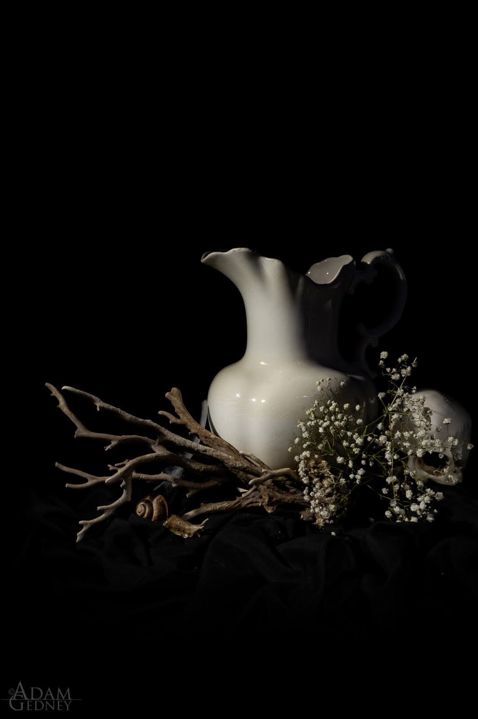 Still Life w/ Coral & Vase — archival pigment print, Adam Gedney