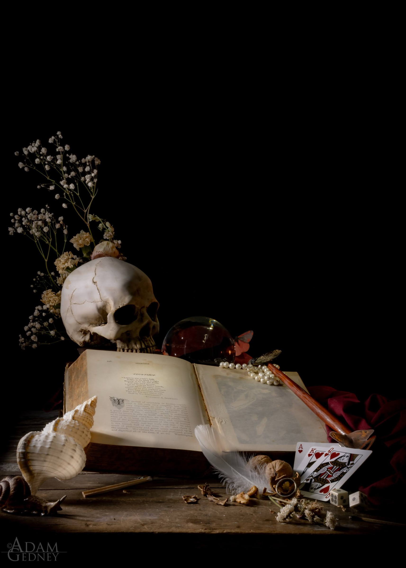 Still Life w/ Book, Shell, and Skull — archival pigment print, Adam Gedney
