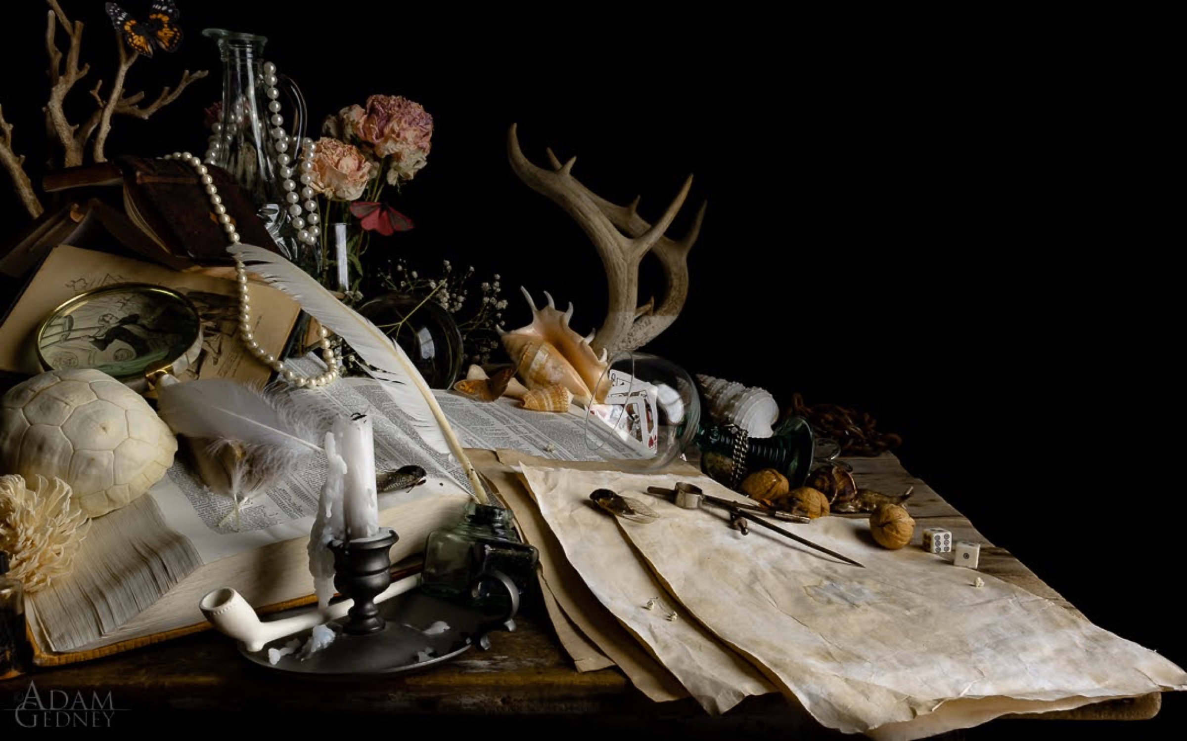 Still Life w/ Antlers & Cards — archival pigment print, Adam Gedney
