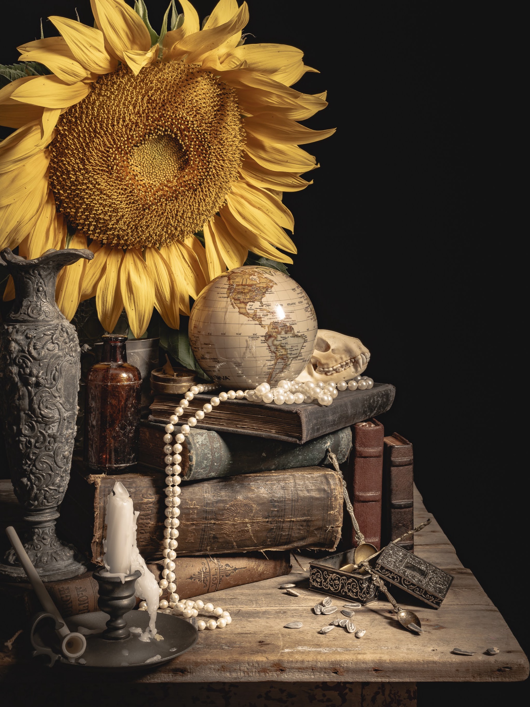 Still Life w/ Sunflower & Books — archival pigment print, Adam Gedney