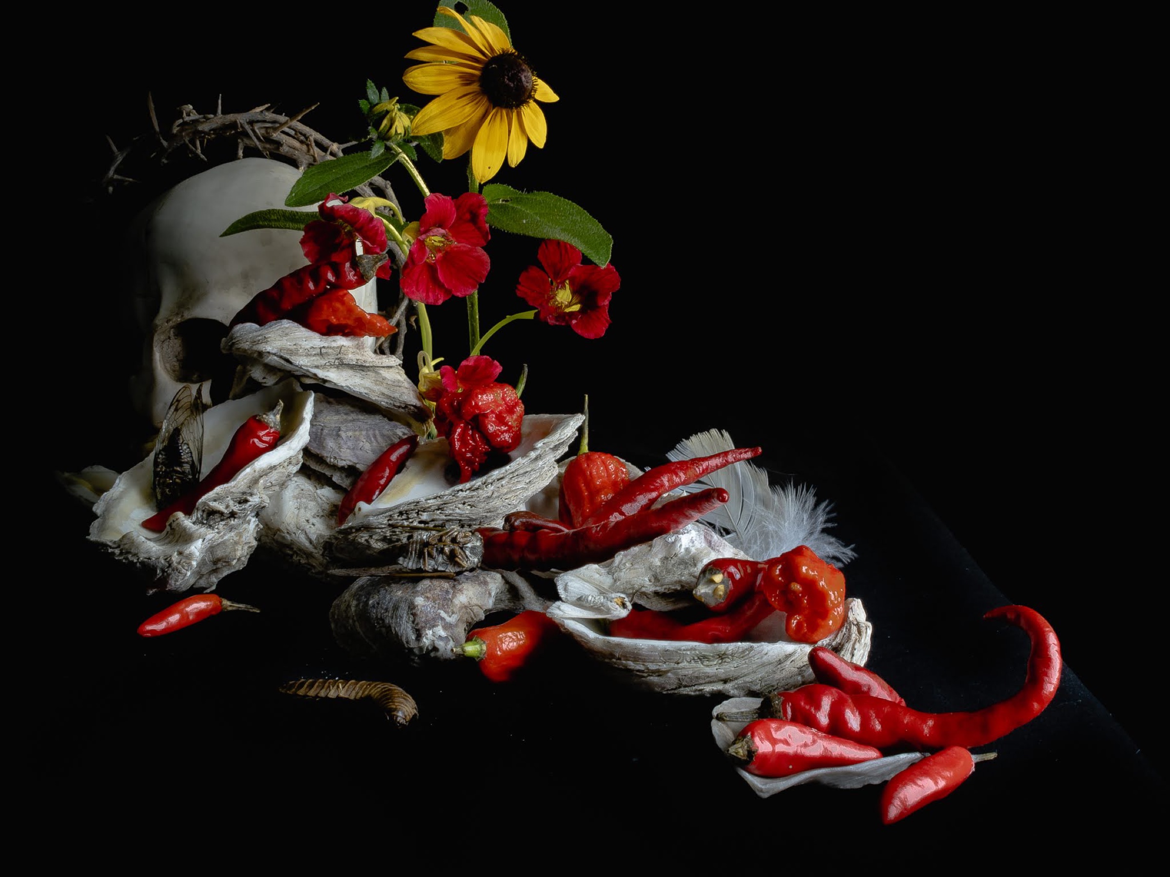 Still Life w/ Chilis & Oysters — archival pigment print, Adam Gedney