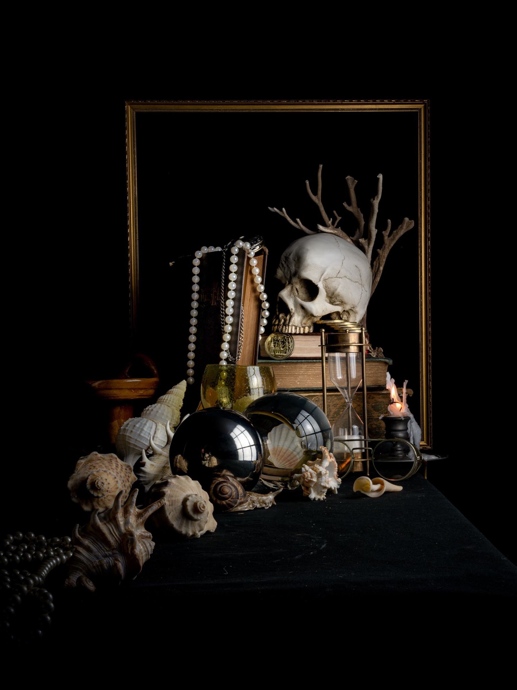 Still Life w/ Framed Skull & Vanitas — archival pigment print, Adam Gedney