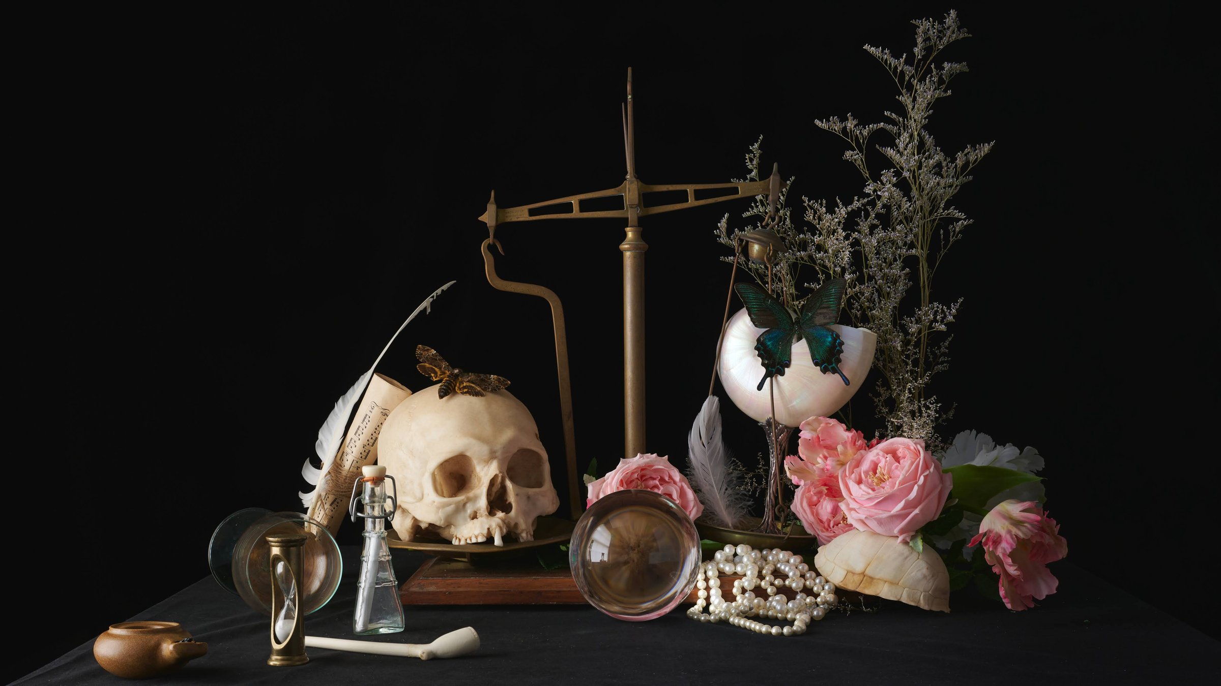 The Moth and the Butterfly — archival pigment print, Adam Gedney