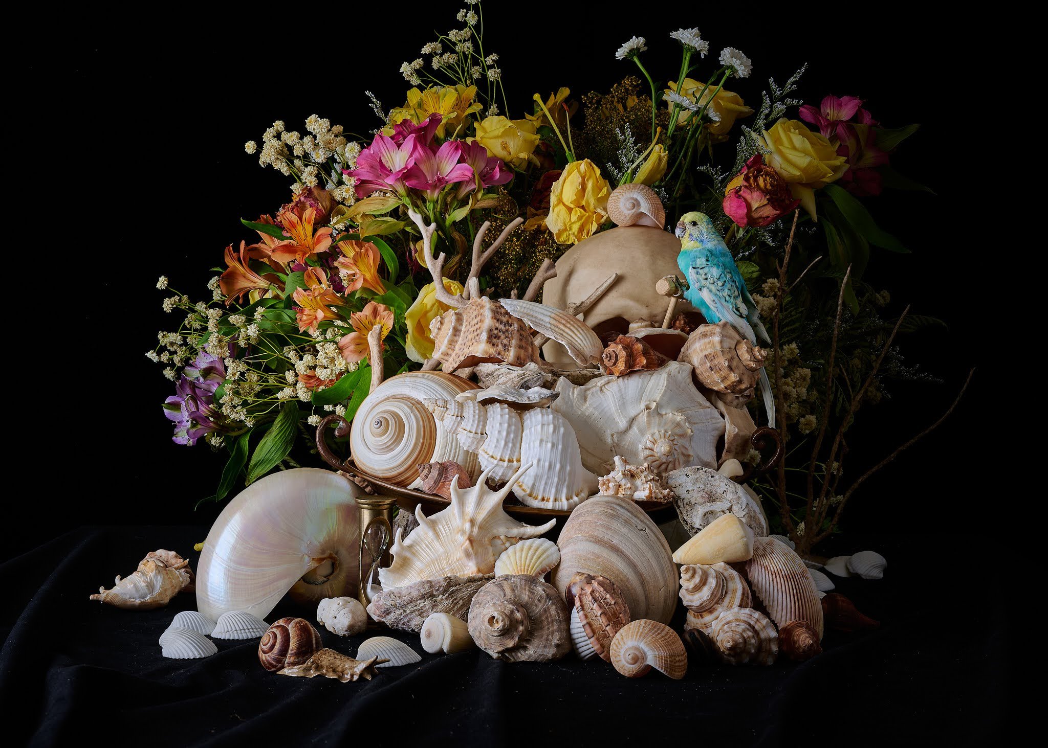Still Life w/ Shells, Bird, and Flowers — archival pigment print, Adam Gedney